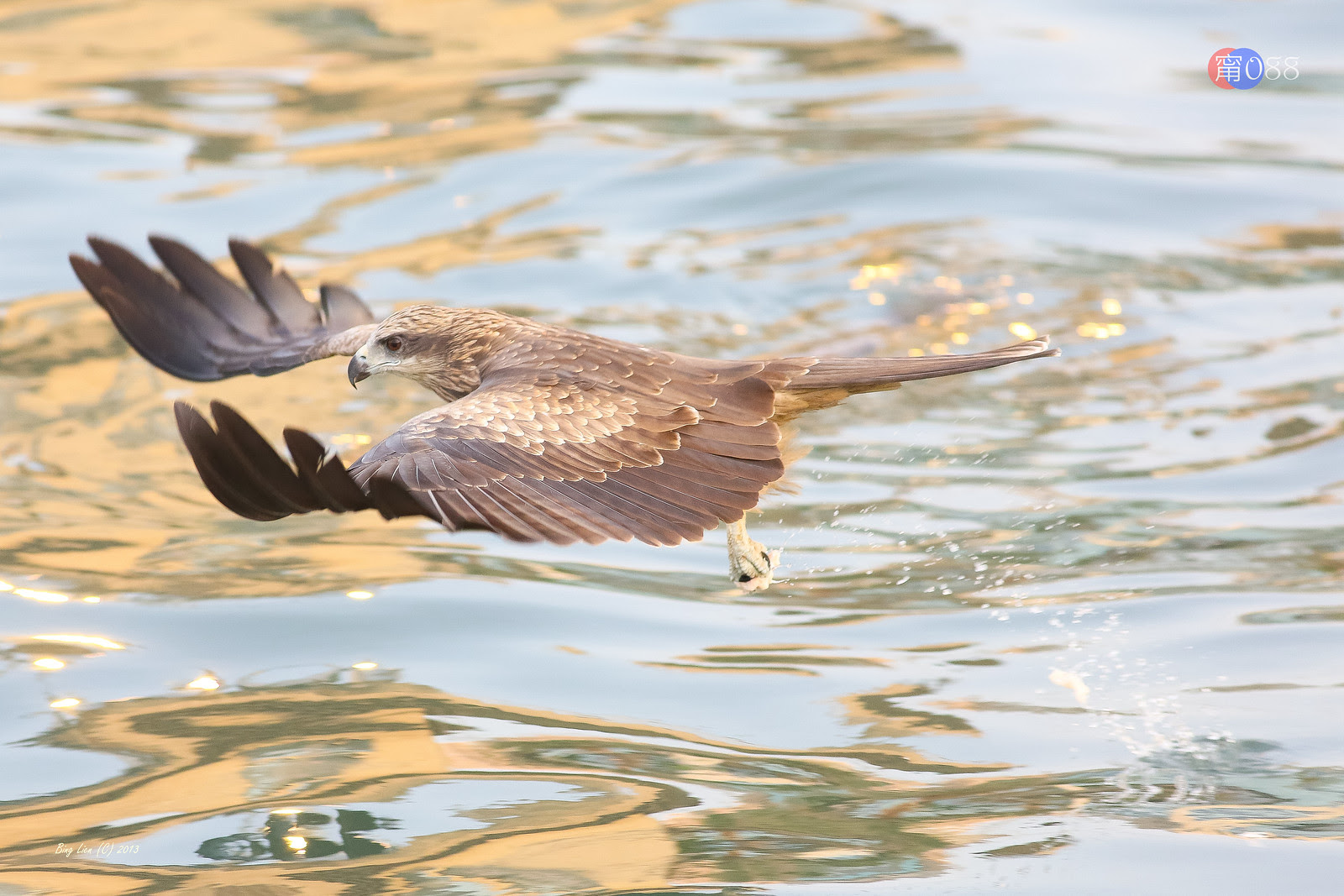 WATER_BING0928_LR
