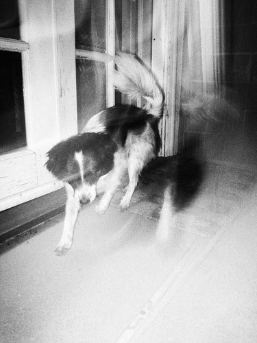 Chasing the tail
