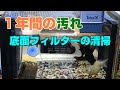 [最も人気のある！] コトブキ 水槽 ビュース フィルター 253467-コトブキ 水槽 ビュース フィルター