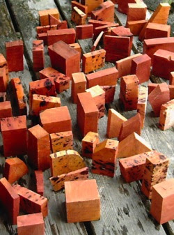Madrone Wood or Arbutus Wood: My Favorite Wood