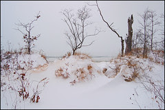 Lake Michigan Overlook