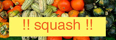 february will be squash month over at the blog