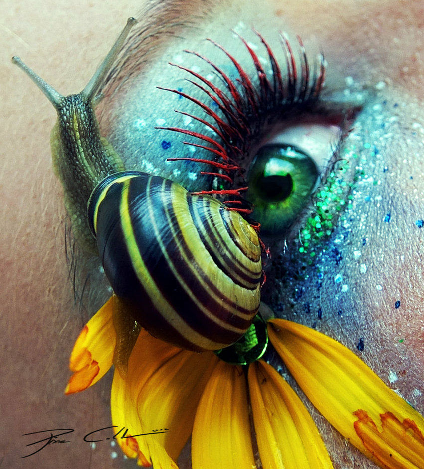 Awesome Eye Makeup Using Roses And Ladybugs Eye Arts Gigazine