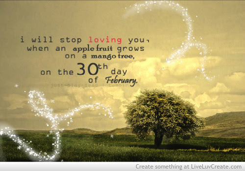 couples, cute, funny, girls, ill stop loving you, love, pretty, quote ...