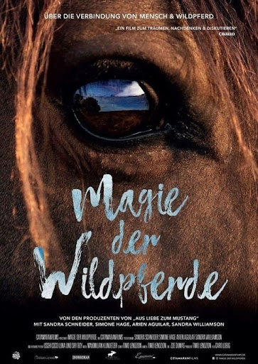 Kép