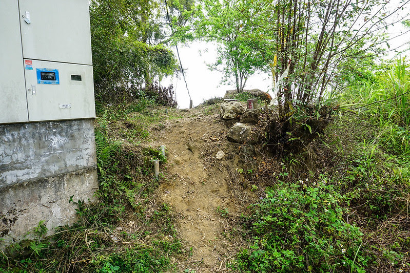 DSC09365