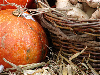 Pumpkin