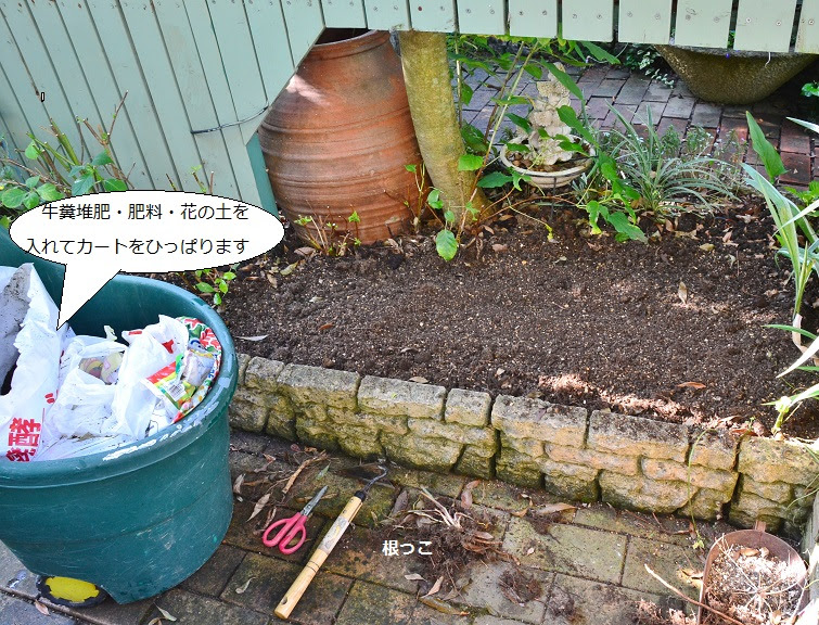 日陰の花壇 歌番組 ようこそブルーガーデンへ 楽天ブログ