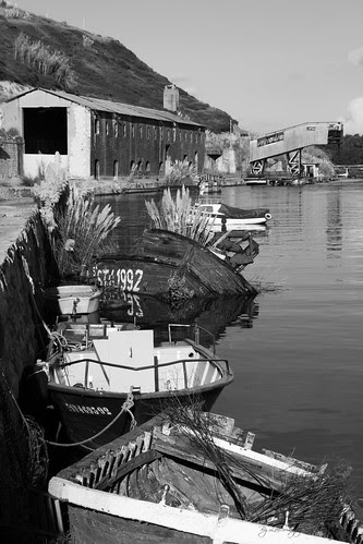 _MG_0009-2