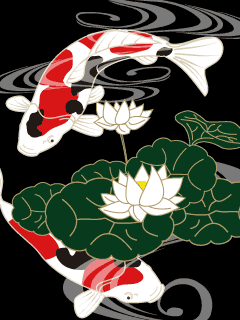 粋屋 和柄携帯待ち受け無料画像 鯉と睡蓮