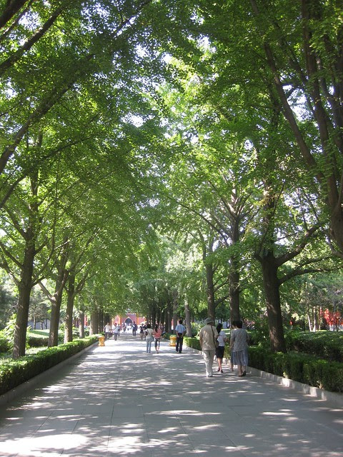 beijing lama temple IMG_3196
