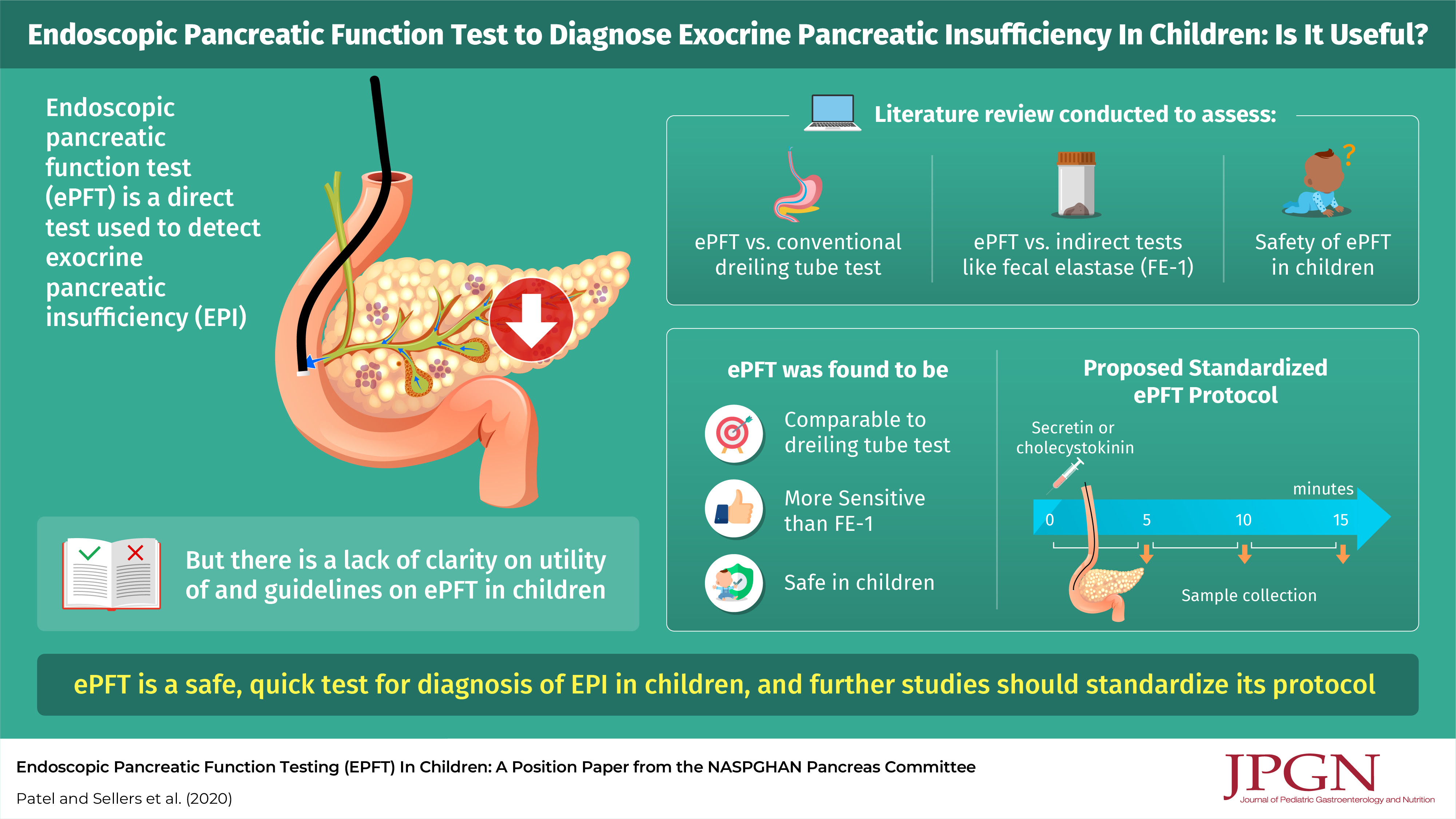 Endoscopic Pancreatic Function Testing Epft In Children A Position Paper From The Naspghan Pancreas Committee