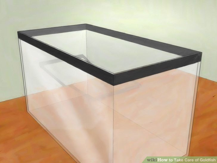 Take Care of Goldfish Step 1 Version 5.jpg