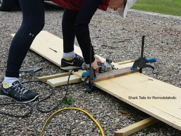 StorageBox SharkTails.1