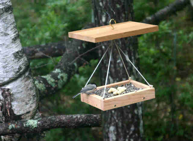 アメリカンバード リサイクル バードフィーダー American Bird 最高の品質の