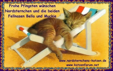 Pfingsten 2003