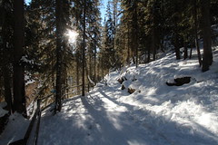 Johnston canyon winter trip 2014