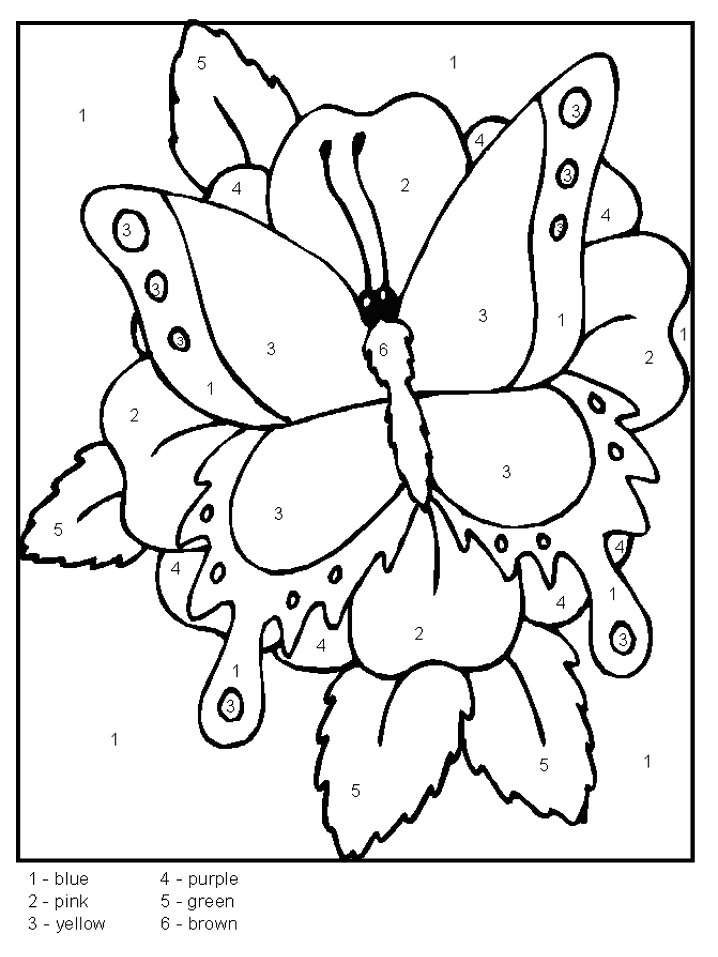 Download Color By Number Butterfly - Coloring Home