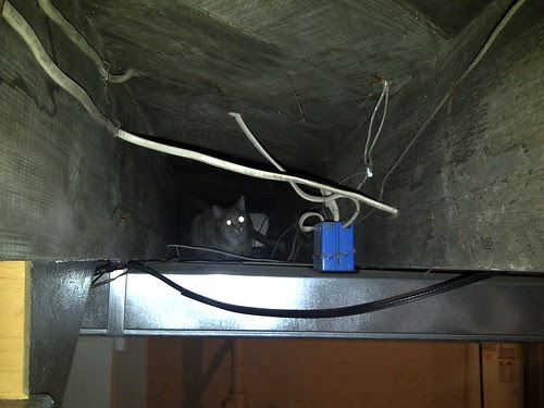 IMG-20111105-00368