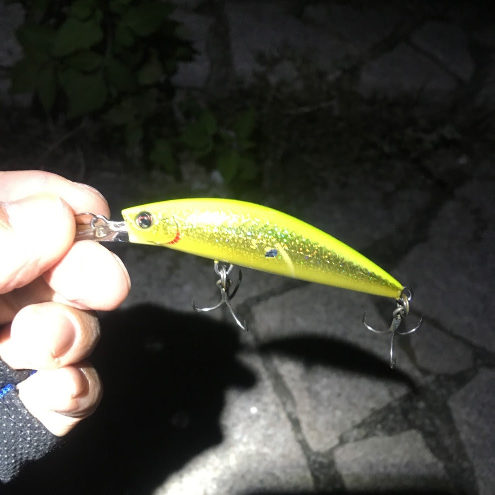 大阪湾奥ワインド 淀川シーバス キビレ調査から舞洲にてタチウオ偵察