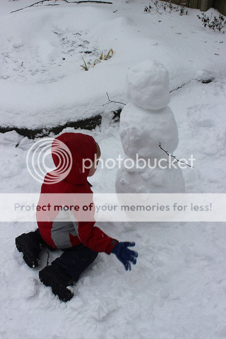  photo snow21_zpse61819b2.jpg