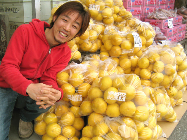 土佐文旦 露地 とさぶんたん ろじ 食べ方 皮マーマレード ジャム レシピあり ギフト通販ショッピング高知オレンジハートのくだもの屋