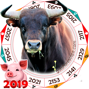 Chinese New Year Animals Of The Zodiac Calendar Blokube