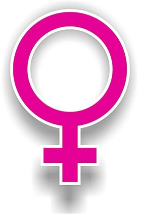 Social factors such as the rise of feminism could be behind the rise in violence amongst women, researcher says.