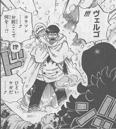 木陰の岩の眠り猫 One Piece