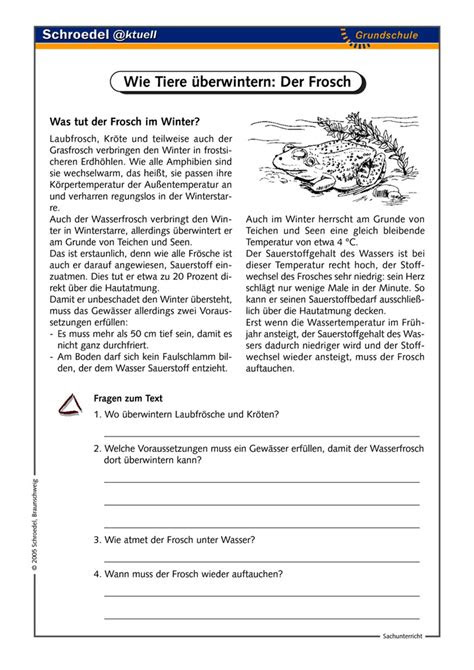 Der winter verwandelt die welt in eine winterlandschaft. Wie Tiere Ã¼berwintern: Der Frosch - - ein Arbeitsblatt zu