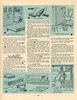 observer sc nat p74