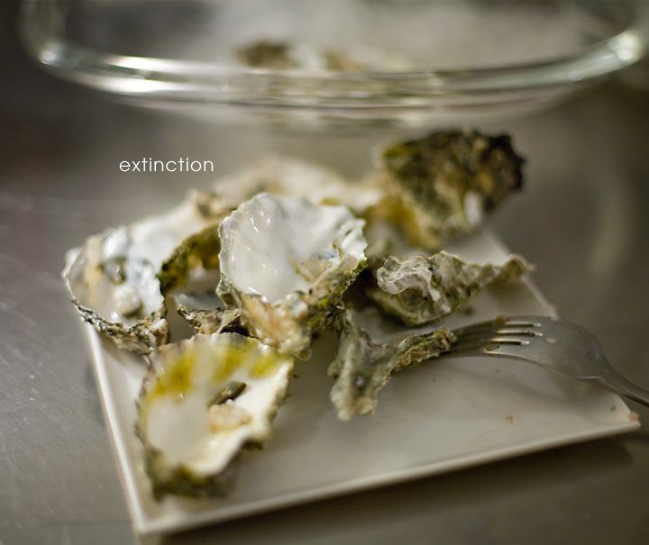 Extinct Oysters