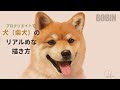 リアル かわいい 柴犬 イラスト 114515-リアル かわいい 柴犬 イラスト