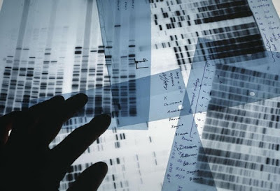 DNA testing