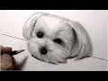 【印刷可能】 リアル 犬 画像 イラスト 162088