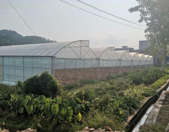大棚建设 蔬菜大棚 玻璃温室 连栋大棚 无锡联农温室大棚管厂