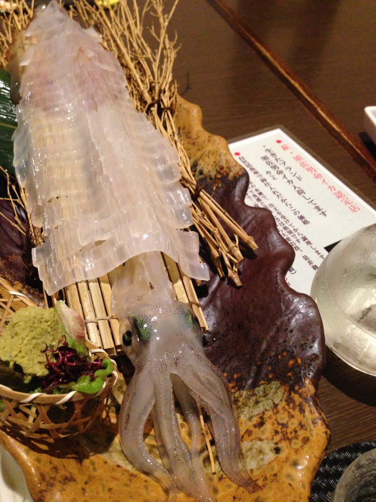 イカの味の違い いかのおすし 回転寿司食べ比べ 日本酒好きのおっちゃんが何か言うとるわ W
