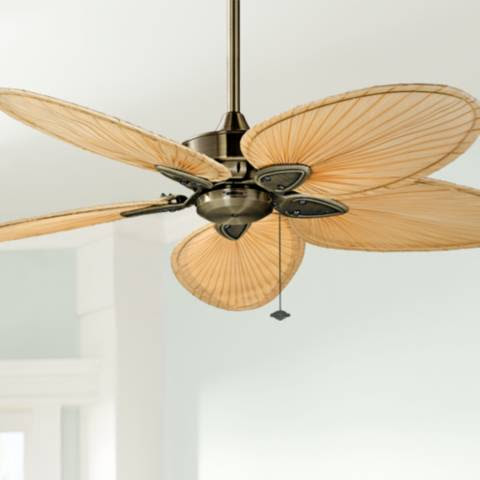 52" Fanimation Windpointe Antique Brass 5-Blade Ceiling ...