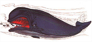 Disney All Stars Monstro The Whale