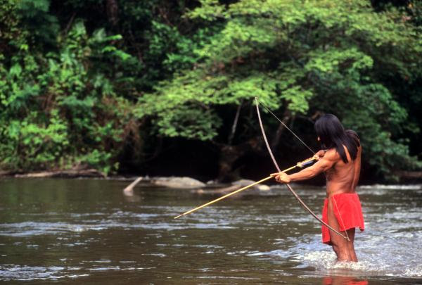 Indigenous People of the Amazon Rainforest - Culture & Life