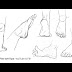 How To Draw Anime Girls Legs And Feet