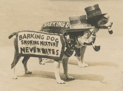 have to love pipe smoking dogs. Anonymous Works: Barking Dog Smoking ...