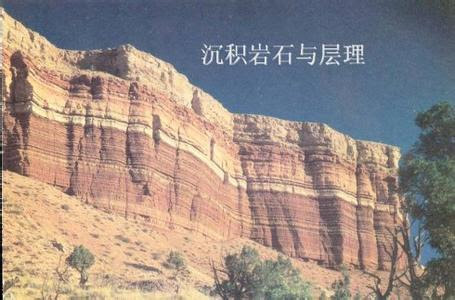知乎 知乎日报