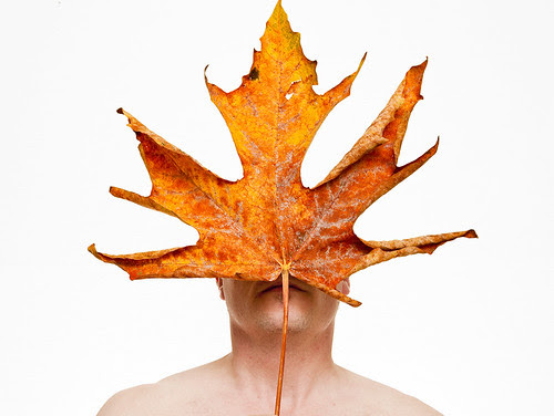 I am Canadian by petetaylor