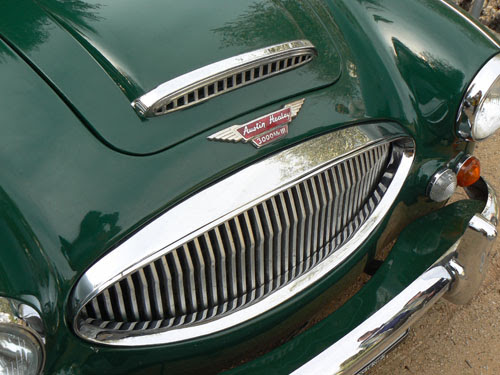 austinHealey.jpg