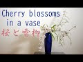 √70以上 花瓶 生け花 桜 251421-桜 生け花 花瓶