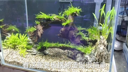 腾讯视频