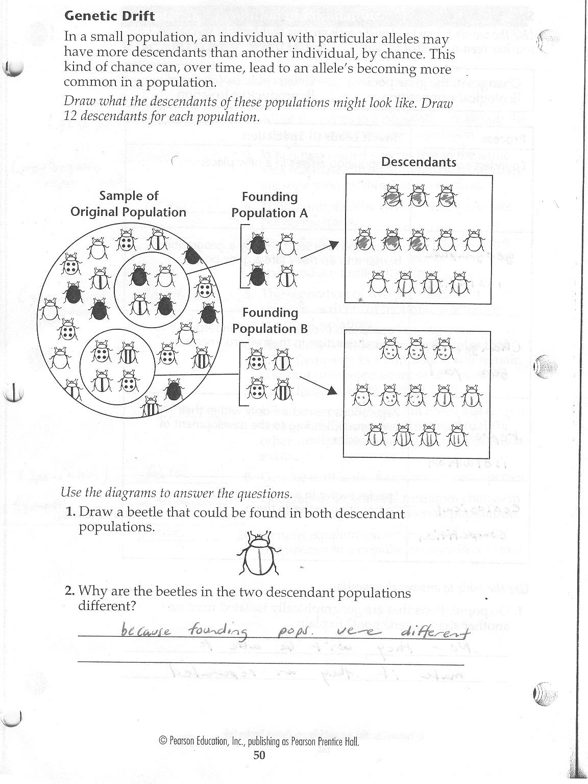 straubel / Biology 2010 - 2011