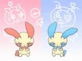 √70以上 かわいい イラス�� ポケモン プラスル マイ��ン 143130-かわいい イラス�� ポケモン プラスル マイ��ン