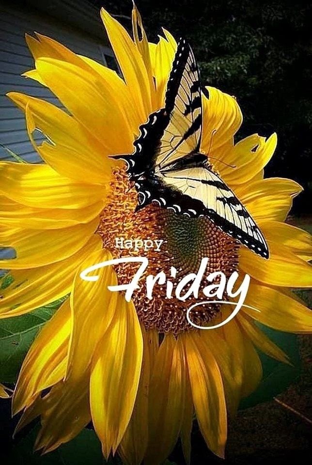 Coffee Funny Good Morning Friday Images : 50+ Sweet Good Morning Quotes for Her from Heart / President trump expressed doubt that trade talks can be successful due to spoiled partners.